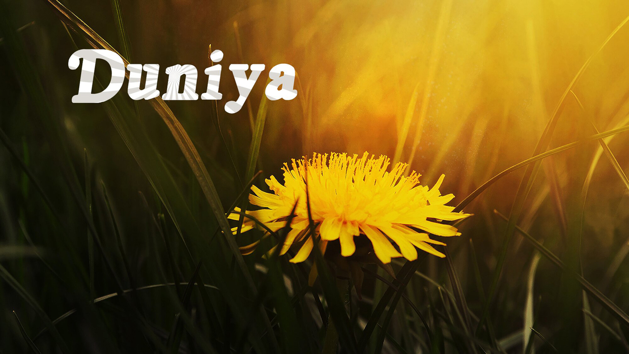 Duniya
