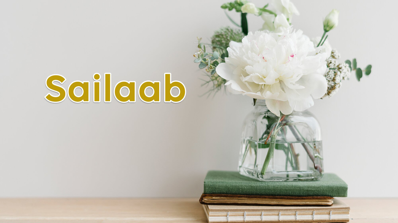 Sailaab