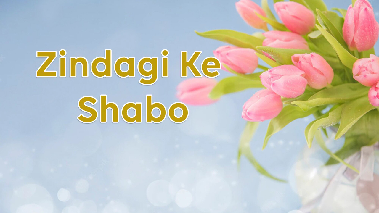 Zindagi Ke Shabo